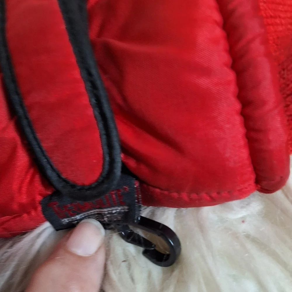 Vintage Colorblock Ski Gloves M